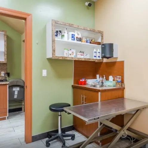 South Bay Veterinary Hospital Exam Room